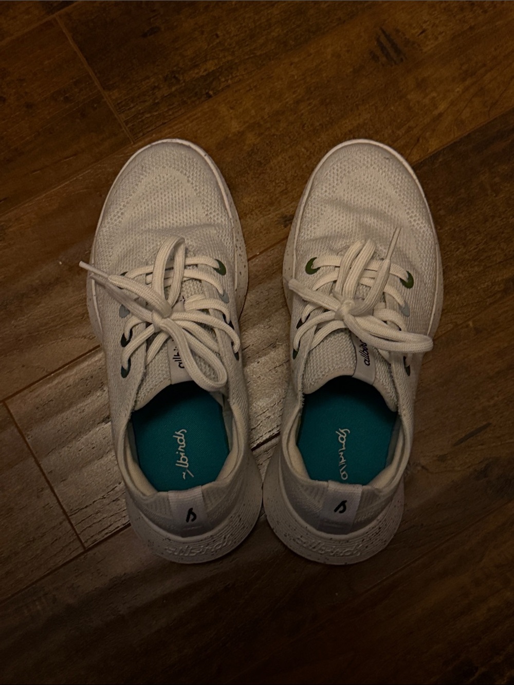 allbirds White Knit Sneakers with Teal Insoles